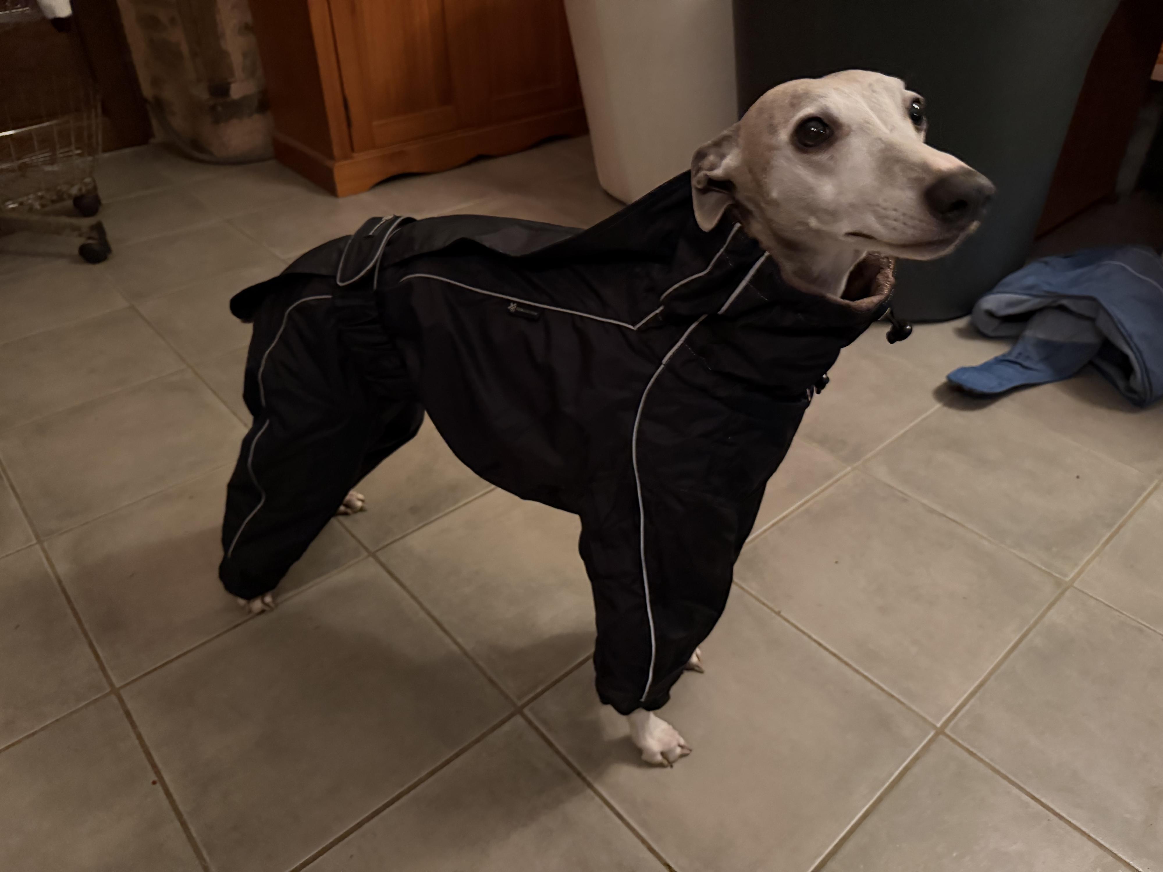 Les doudounes «  montagne «  pour l hiver sont arrivées 